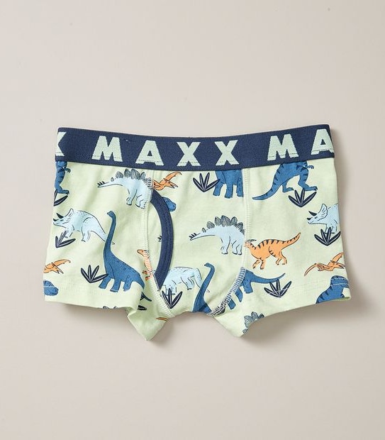 3 Pack Maxx Trunks
