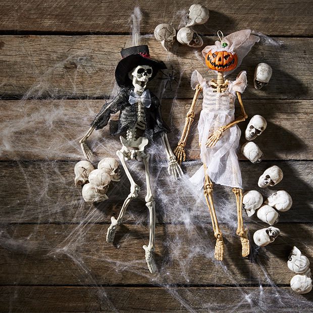 Skeleton - Assorted | Target Australia