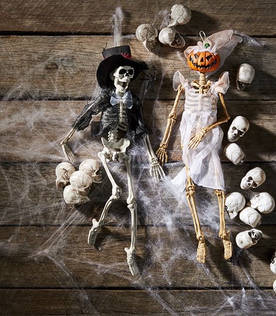 Dress Up Skeleton - Assorted