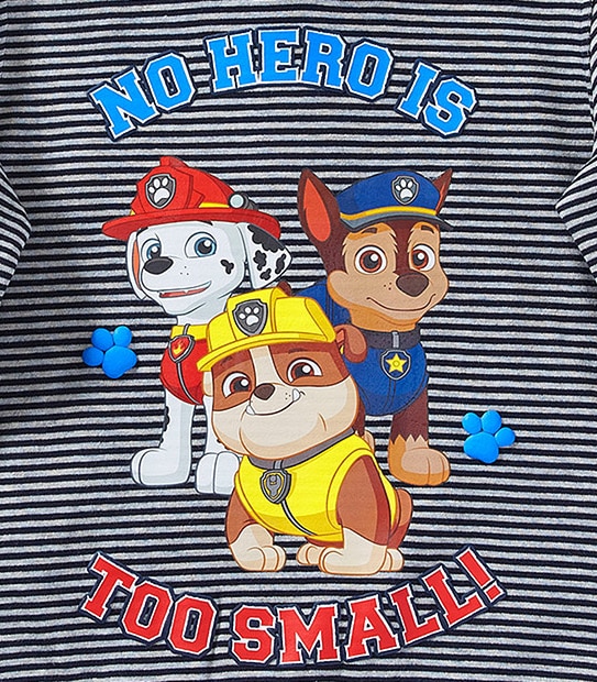 Paw Patrol Striped Pull Over Hoodie