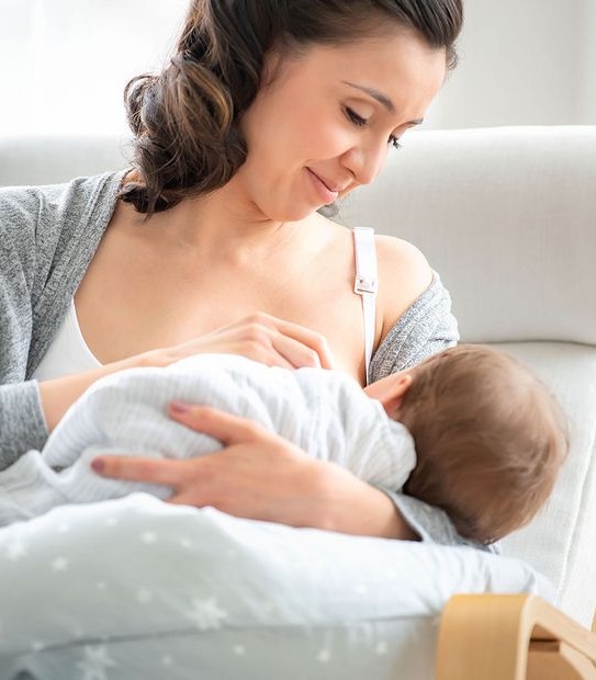 Medela Maternity and Nursing Pillow