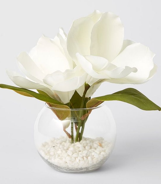 Magnolia In Glass Vase
