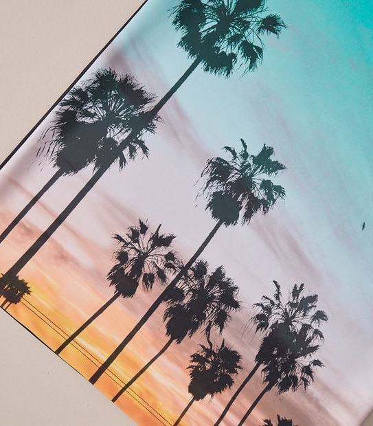 Swim Graphic Print Rashie