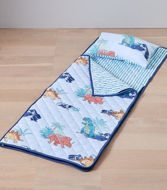 Dinosaur Sleeping Bag Set