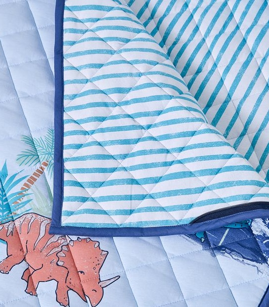 Dinosaur Sleeping Bag Set