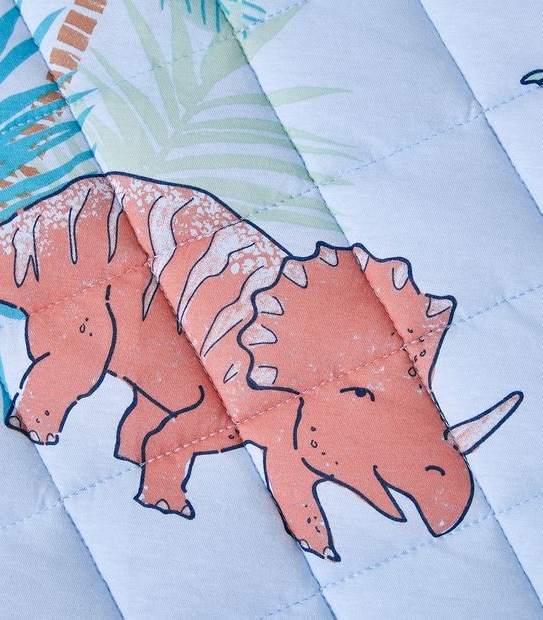 Dinosaur Sleeping Bag Set