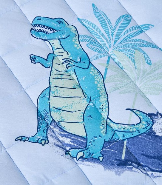 Dinosaur Sleeping Bag Set