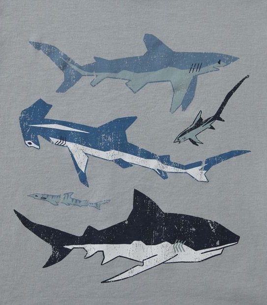 Organic Cotton Print T-shirt