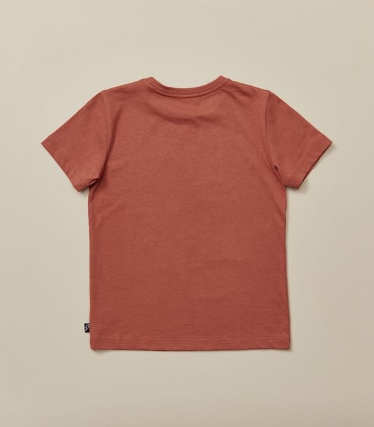 Organic Cotton Print T-shirt