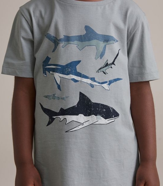Organic Cotton Print T-shirt
