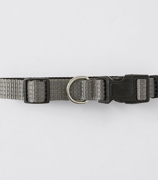 Patch & Socks Reflective Dog Collar Assorted
