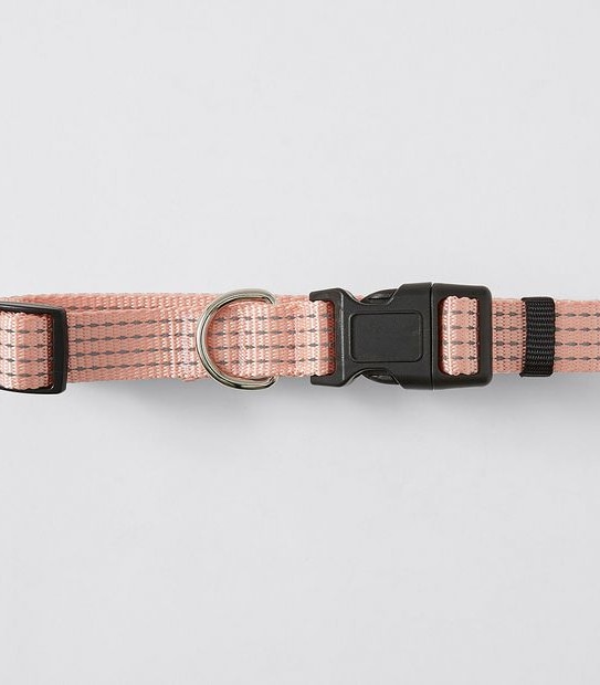 Patch & Socks Reflective Dog Collar Assorted