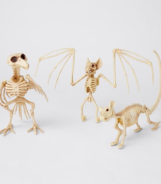 Halloween Mini Skeleton Animals - Assorted
