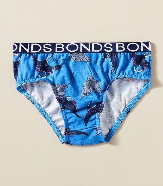 4 Pack Bonds Briefs