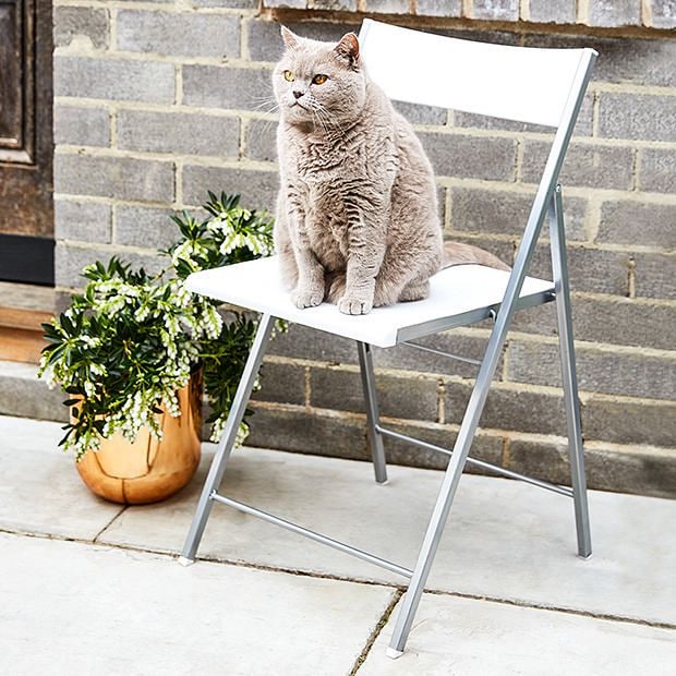 Folding Chair - White