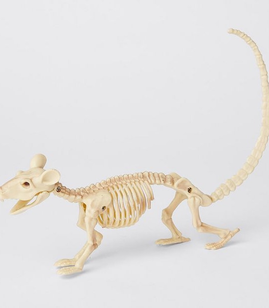 Halloween Mini Skeleton Animals - Assorted
