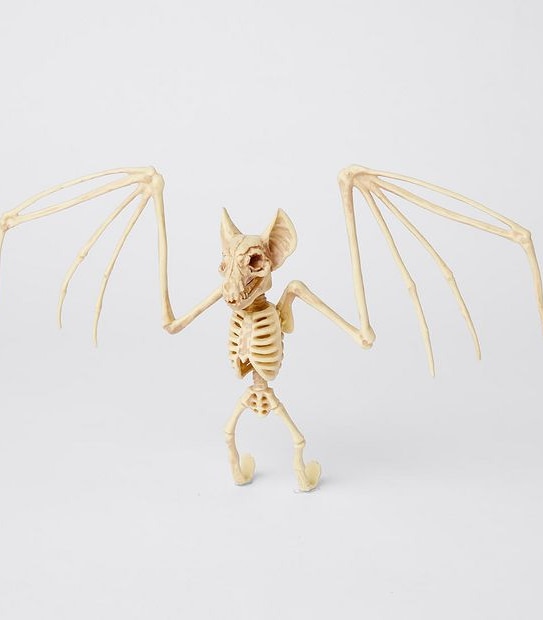 Halloween Mini Skeleton Animals - Assorted