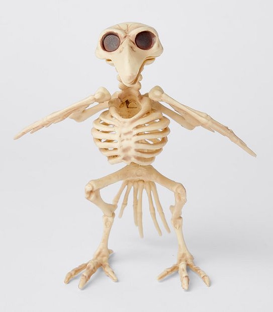 Halloween Mini Skeleton Animals - Assorted