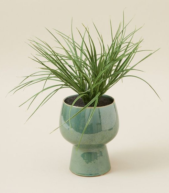 Faux Greenery in Ceramic Pot