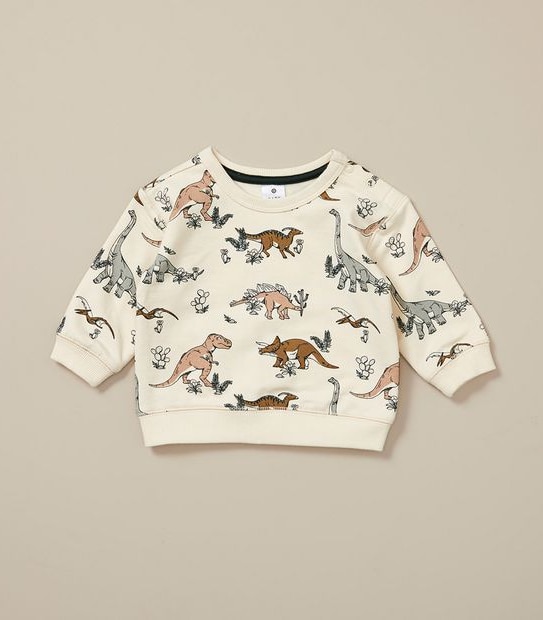 Baby Dinosaur Jumper