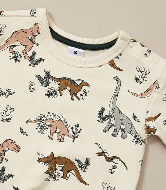 Baby Dinosaur Jumper