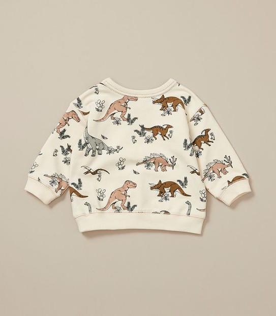 Baby Dinosaur Jumper