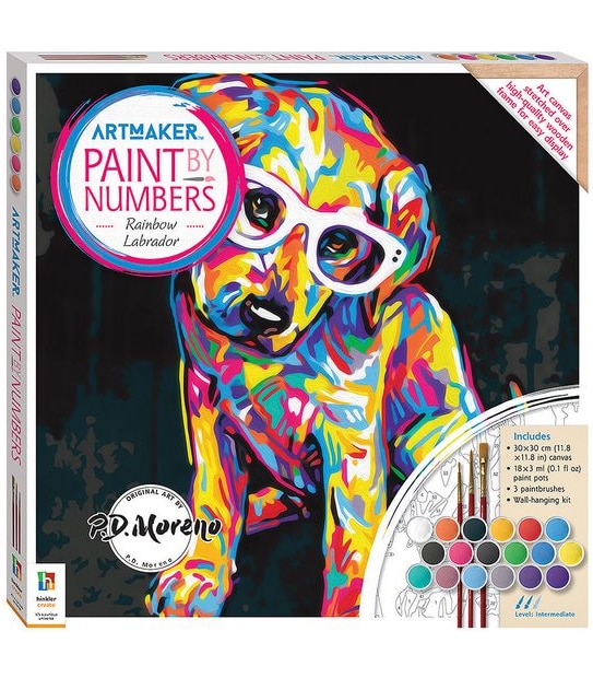 Paint By Numbers Rainbow Labrador