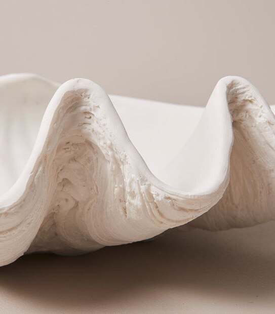 Clam Shell