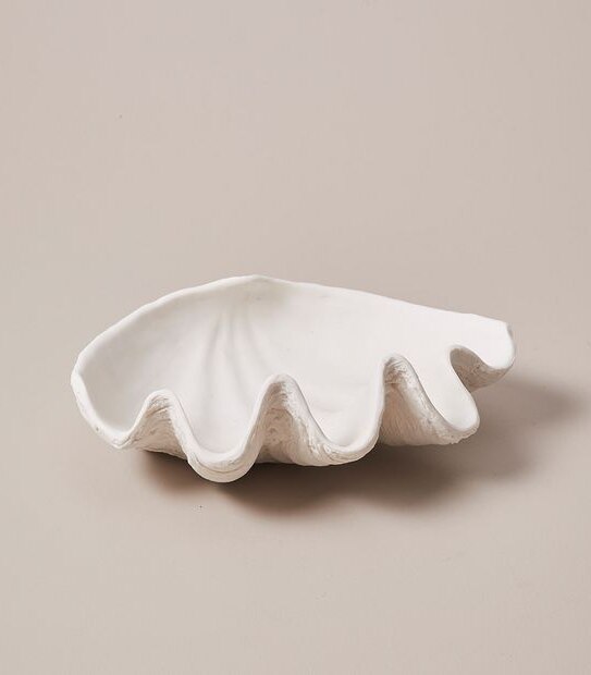 Clam Shell