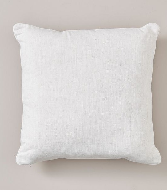Paige Paisley Printed Cushion