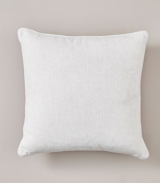 Paige Paisley Printed Cushion