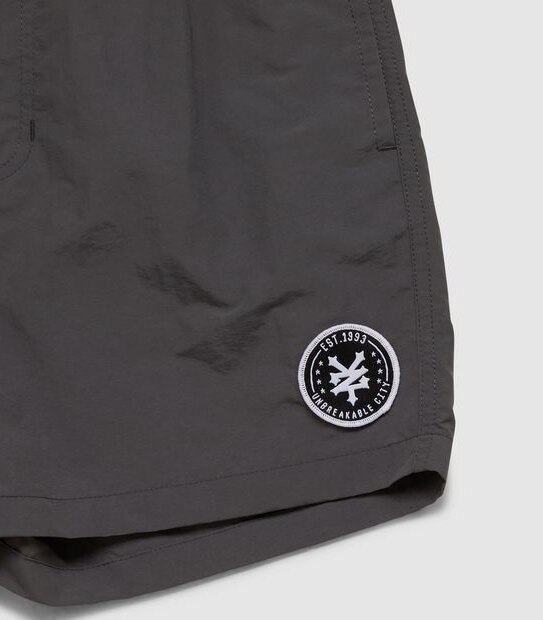 Zoo York Sheckler Shorts