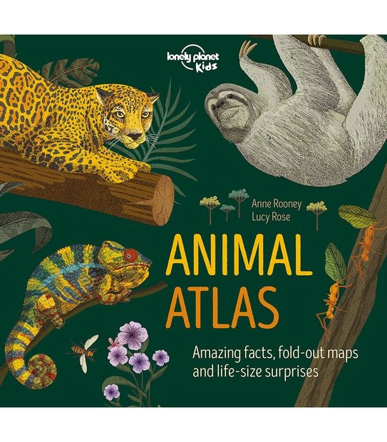 Animal Atlas - Anne Rooney &  Lucy Rose