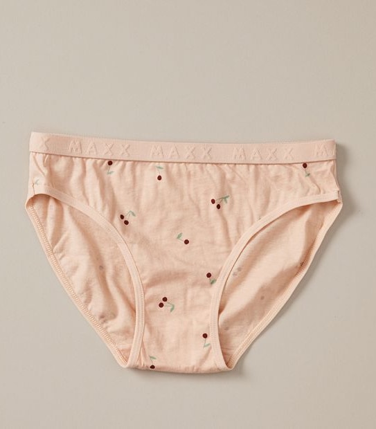 5 Pack Maxx Briefs