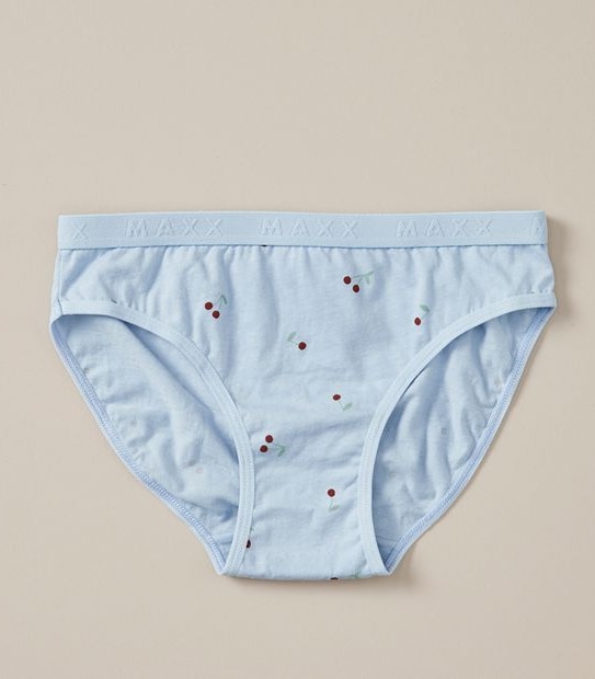 5 Pack Maxx Briefs