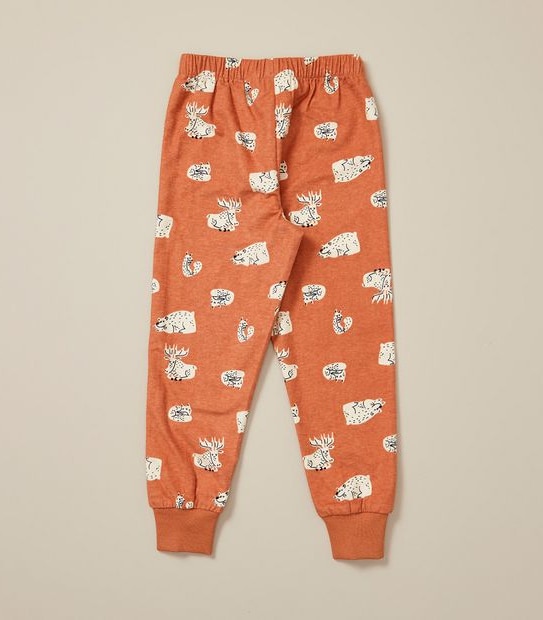 Organic Cotton Bear Pyjama Set
