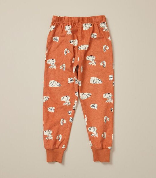 Organic Cotton Bear Pyjama Set