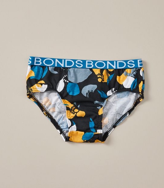 4 Pack Bonds Briefs