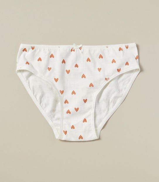 5 Pack Organic Cotton Briefs