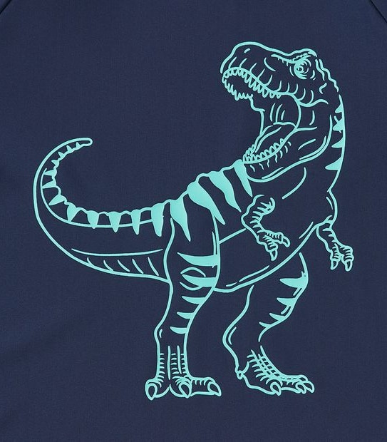 Dinosaur Swim Rashie