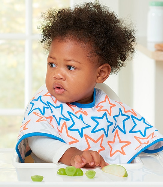 Aden by Aden + Anais Burpy Bib