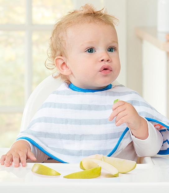 Aden by Aden + Anais Burpy Bib