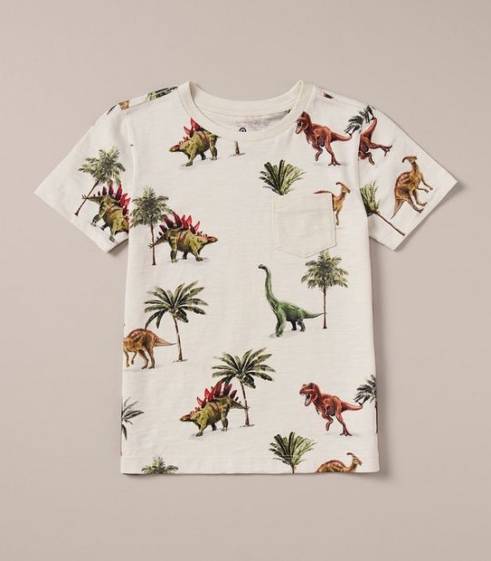 245164_11 SS TEE AOP DINO - WHITECAP GREY