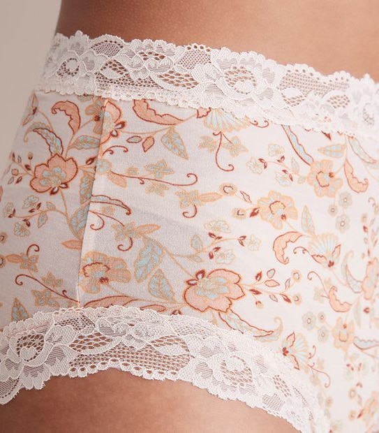 Modal and Lace Full Briefs