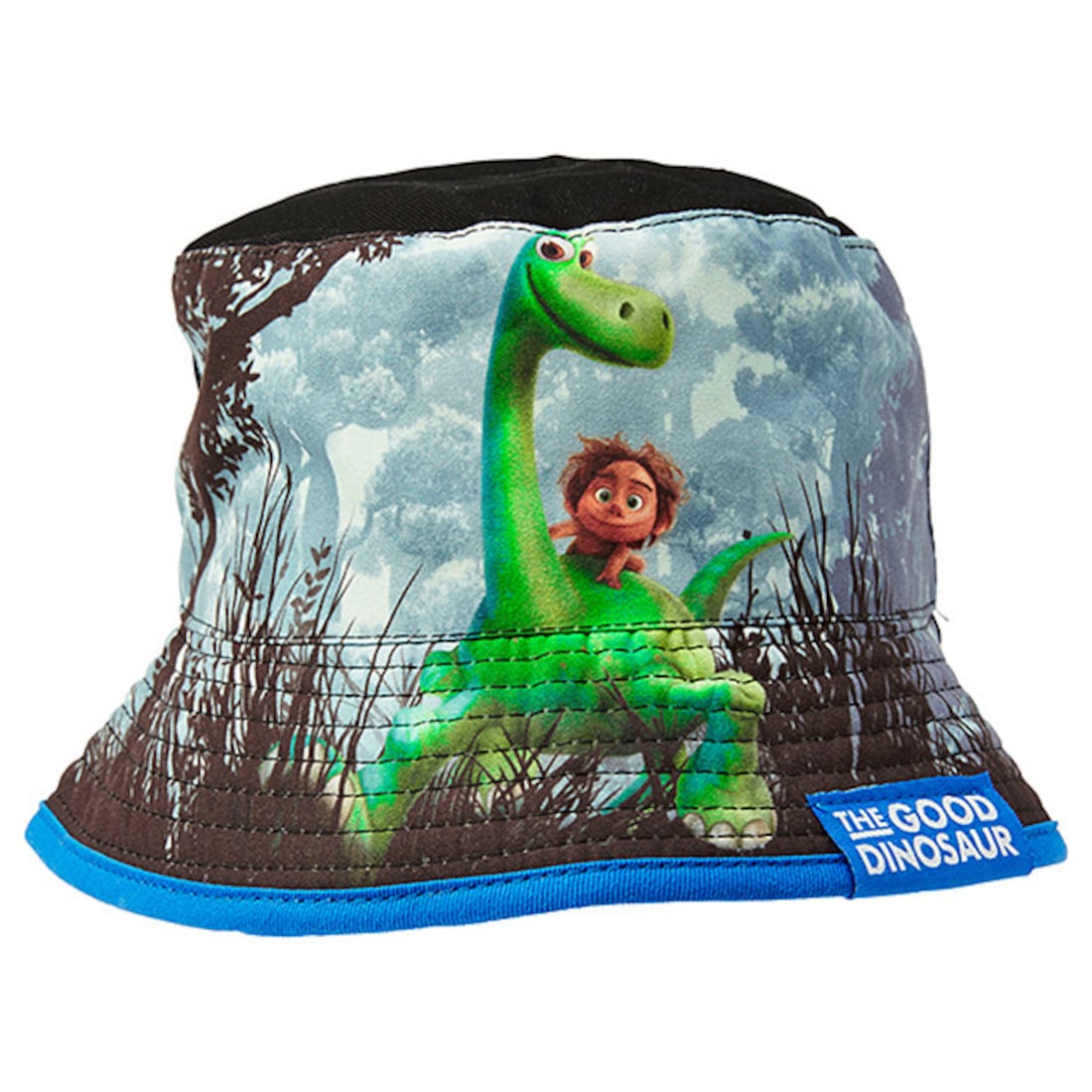 the student get 29 dinosaur puzzle target australia
