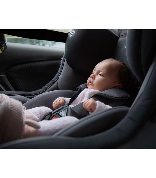 infasecure Discover Premium Birth to Eight Years Type A4/G Convertible Car Seat - Night