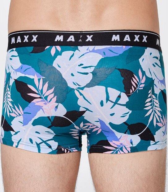 Maxx 3 Pack Fly Front Trunks