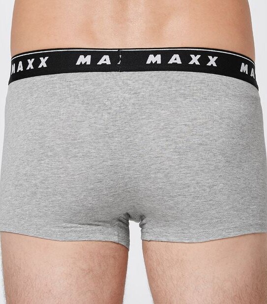 Maxx 3 Pack Fly Front Trunks