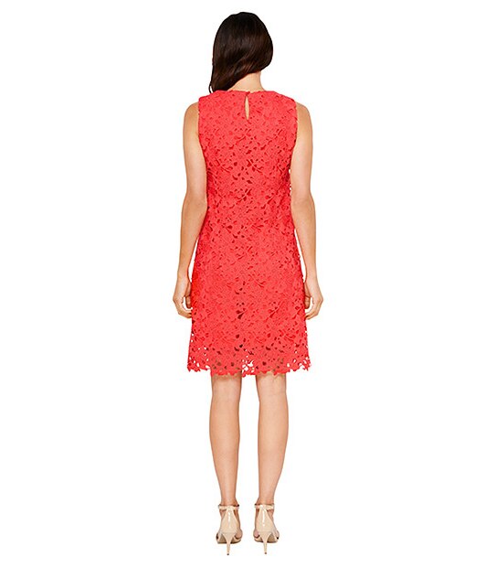 Lace Shift Dress - Paradise Pink