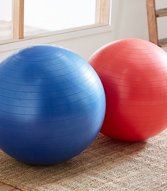 Gym Ball 75cm Assorted